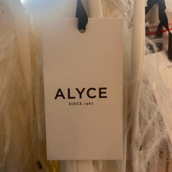 Ivory Feather-Trimmed Tea-Length Dress - Picture 3 of 3